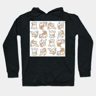 Playful Kittens are Everything on White Background Hoodie